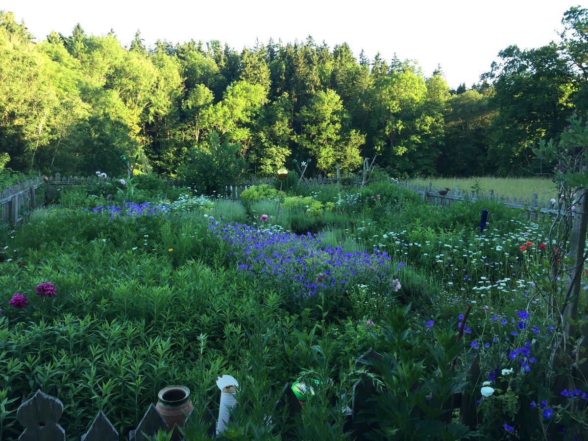Blühender Garten am Seminarort